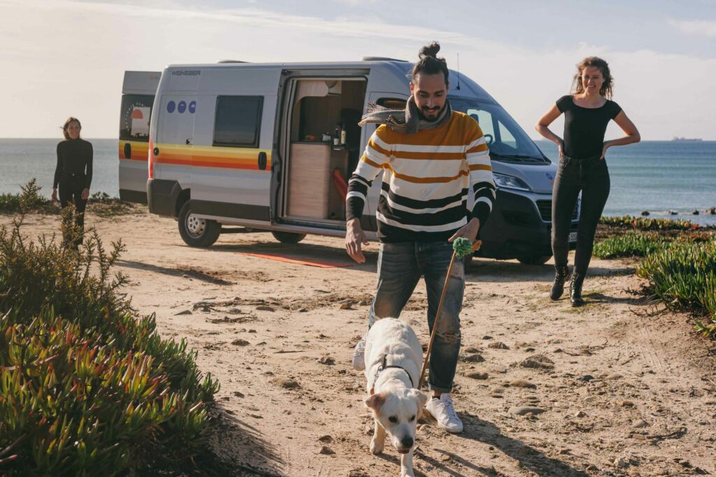 road trip with a dog