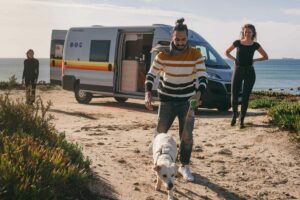 road trip with a dog