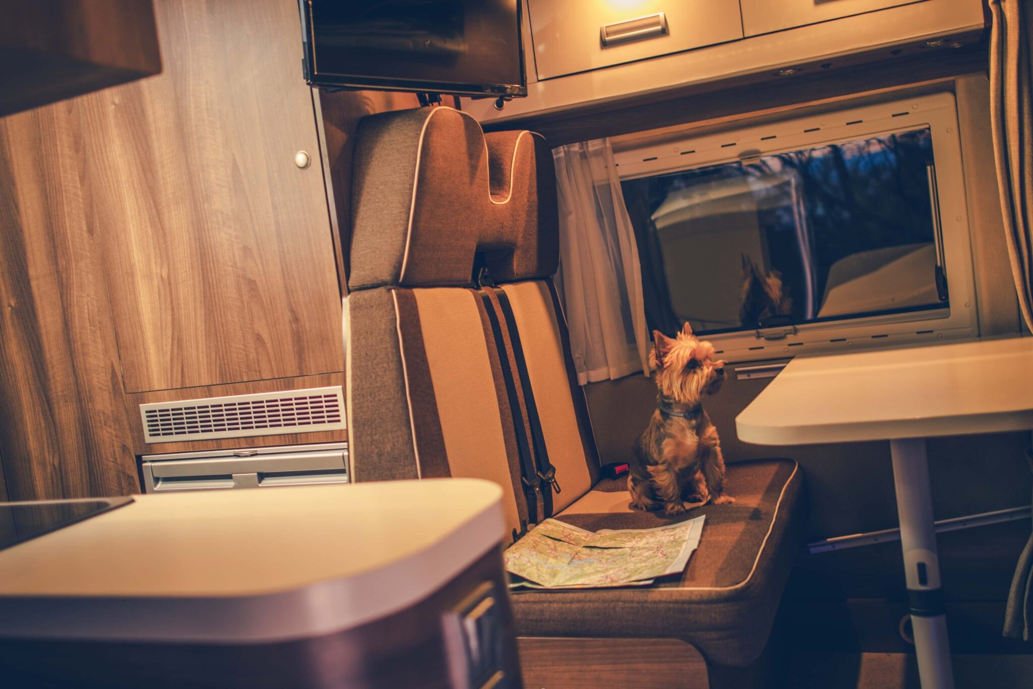 10 Tips for an Awesome Road Trip with a Dog | Indie Campers Blog