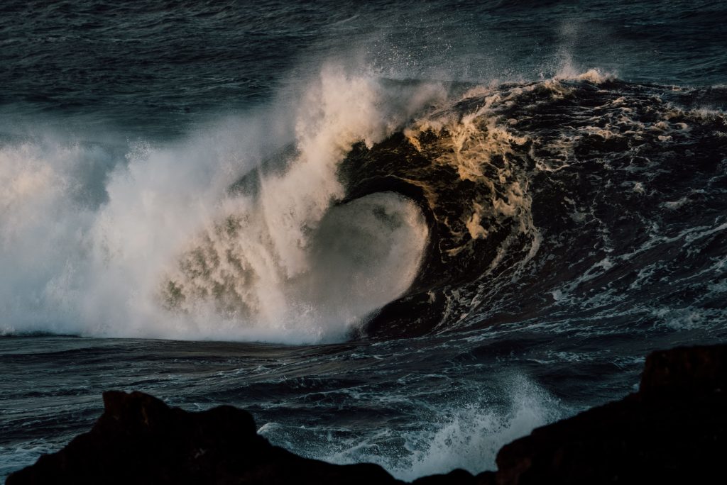 Waves in the South Coast of NSW