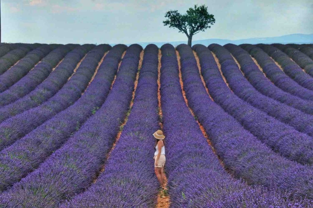 Best Places to Visit in Europe in June 2026 (Where To Go Guide) | Indie ...